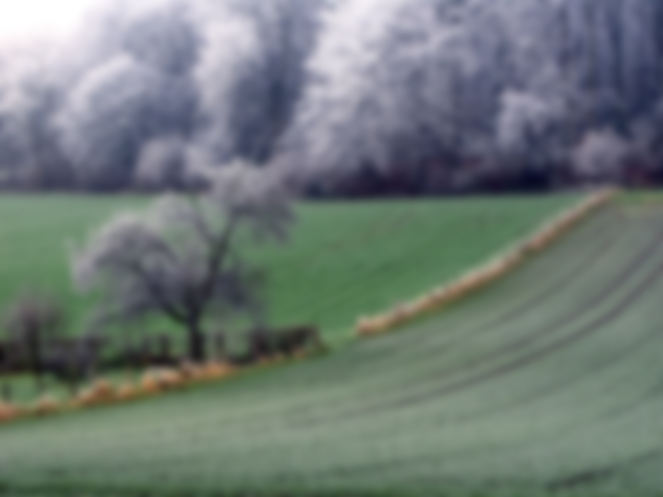 Mot de passe oubli&eacute; ?